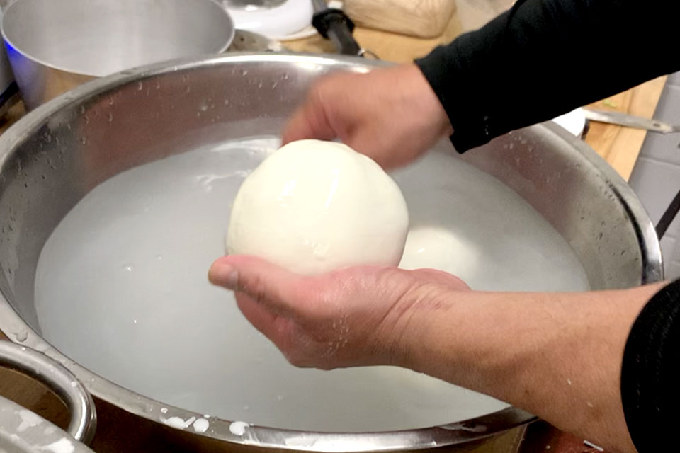 Homemade Fresh Mozzarella
